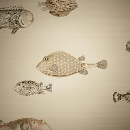 Appartamento Binnendiek Haus 2 Superior-apartment 1 *